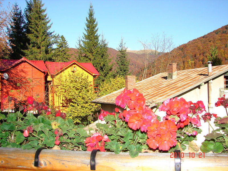 Bistro-Pension La Teleferic Sinaia Exterior foto