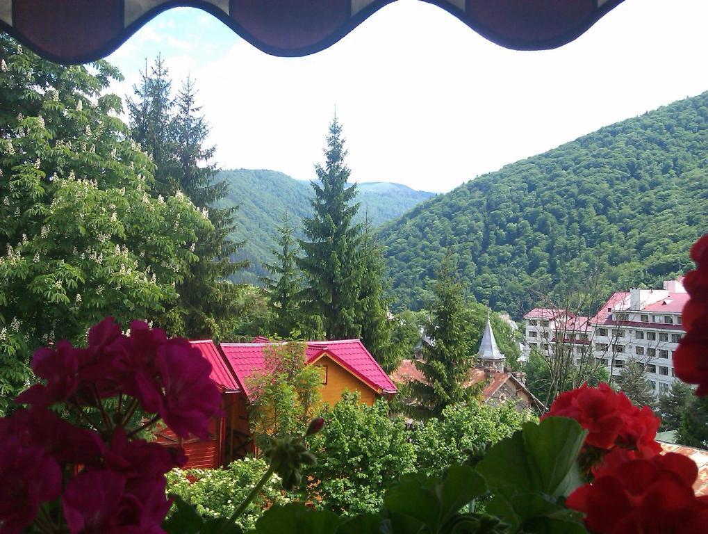 Bistro-Pension La Teleferic Sinaia Exterior foto